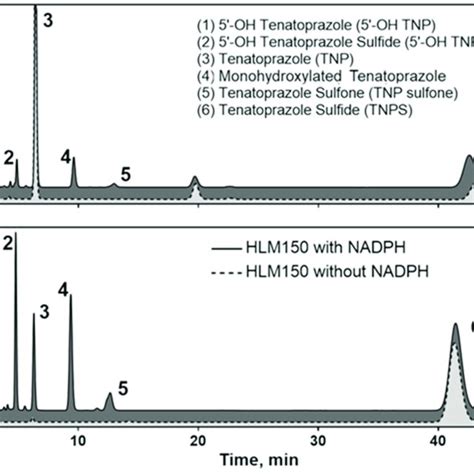 Hplc Chromatograms Of The Metabolites Of Tenatoprazole A And