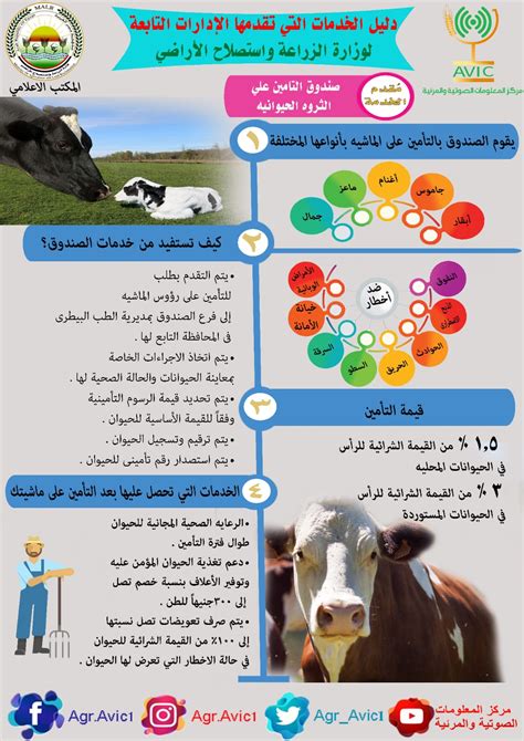 تعرف على خدمات صندوق التأمين على الثروة الحيوانية إنفوجراف اليوم السابع