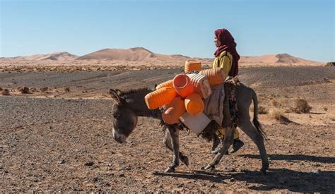 Tuaregs, the Nomads of the Desert [Feel Morocco Blog]