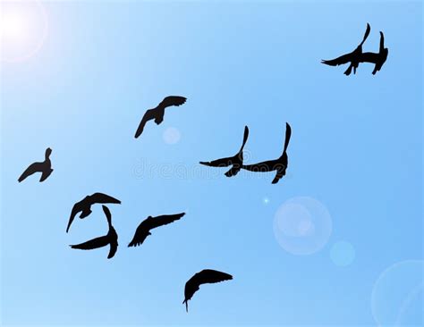 Silhouette of a Flock of Pigeons on Blue Sky Stock Image - Image of ...