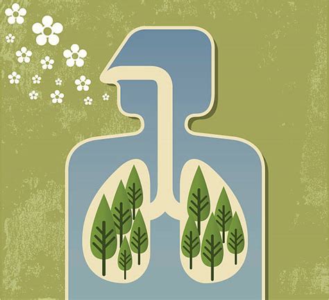 Breathing Fresh Air Illustrations Royalty Free Vector Graphics And Clip