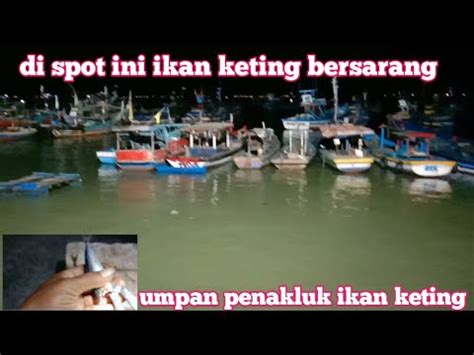 TAK PERLU NUNGGU LAMA PAKAI UMPAN INI MANCING IKAN KETING DI LAUT