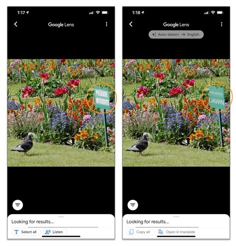 Cuatro formas de sacarle provecho a la cámara del teléfono