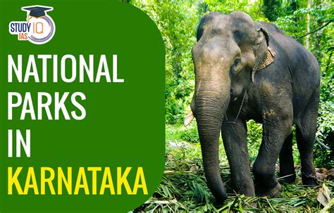 National Parks In Karnataka List 2023 Name Map Features