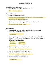 7 7 Docx CHAPTER 7 7 SPECIAL SENSES ASSIGNMENTSHEET INTRODUCTION