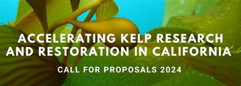 Accelerating Kelp Research And Restoration In California Request