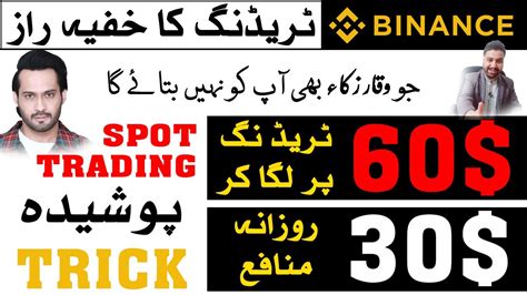 Binance Spot Trading 31 Daily Profit Invest Only 60 Binance