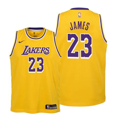 Youth Lebron James Los Angeles Lakers #23 Youth Icon Jersey – Choose ...