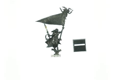 Warhammer Fantasy Wood Elf Army Standard Bearer Whtreasury