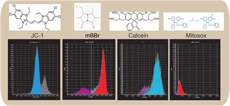 The Four Functional Assays Represented In This Article First Is The