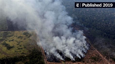 Amazon Rainforest Fires: Here’s What’s Really Happening - The New York ...