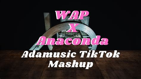 Cardi B WAP X Anaconda TikTok Mashup Adamusic YouTube