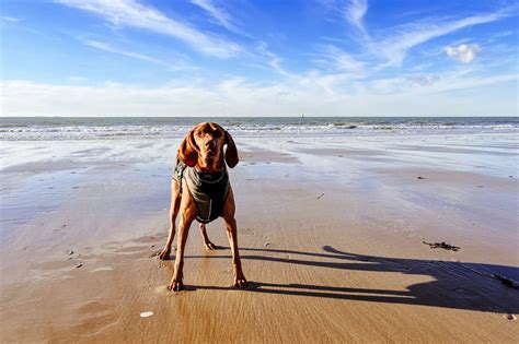 Familienhotels Ostsee Diese 8 Kinderhotels müsst ihr kennen Flipboard