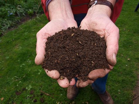 Qué es el Compost y cómo funciona el Compostaje