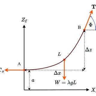 Free Body Diagram Of The Catenary Curve Hanging From The Supports A And