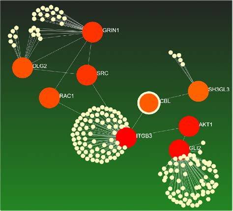 Protein Protein Interaction Network Around 59 Common Significant Genes