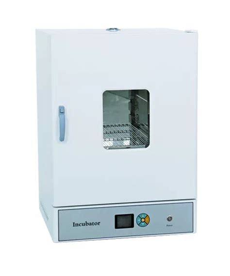 Vertical Electric Heating Constant Temperature Incubator Lit Model