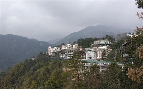 Namgyal Monastery Dharamshala And Mcleodganj What To Expect Timings