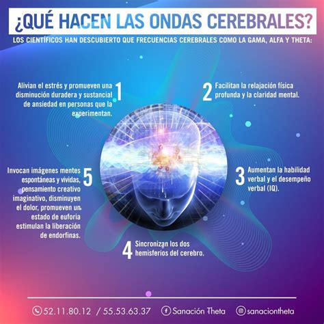 Existen Cinco Frecuencias Diferentes De Ondas Cerebrales Beta Alfa