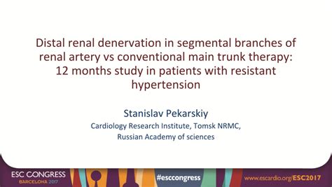 PDF Distal Renal Denervation In Segmental Branches Of Renal Artery Vs