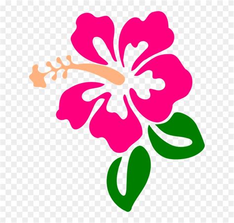 Hawaiian Flowers Clipart No Background Best Flower Site