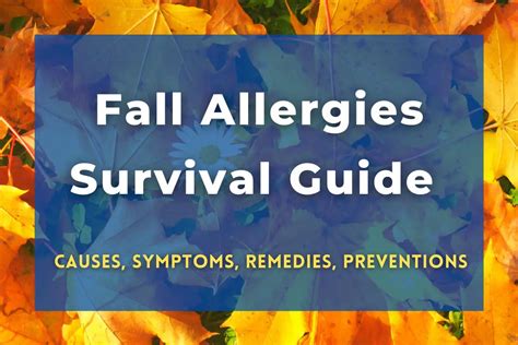 Fall Allergies Survival Guide - Allergy Preventions