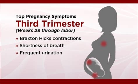 Very Early Pregnancy Symptoms