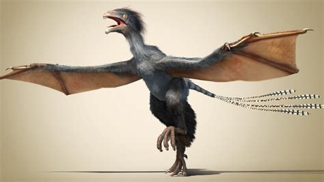 A New Dinosaur Flying Without Feathers Youtube