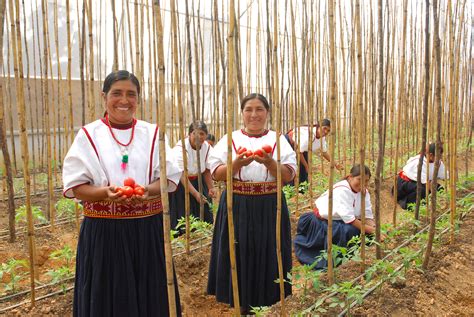 Top 130 Imagenes De Mujeres De Campo Destinomexico Mx