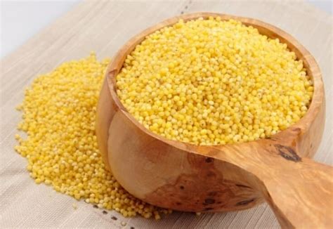 Пшенная каша: калорийность, польза и вред для здоровья организма ...
