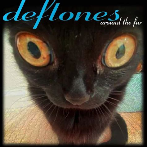 Jinx Deftones Around The Fur Cat Posters Silly Cats