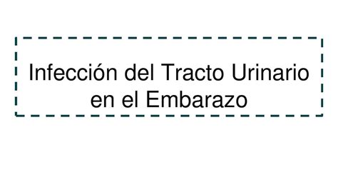 Infección del Tracto Urinario en el Embarazo Bel VRP uDocz