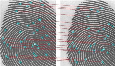 Principle of fingerprint recognition | Download Scientific Diagram