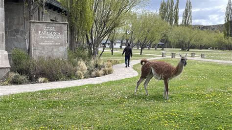 CONAF celebra el día mundial de la naturaleza con llamado a cuidar