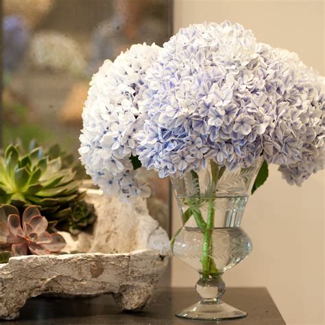 Our Favorite Hydrangea Arrangements | Flower Magazine