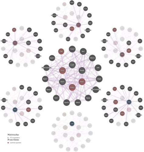 Genemania Database Based Network Of Gene Gene Interactions For