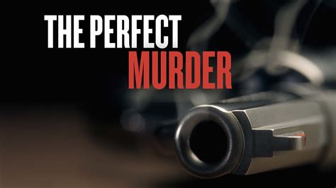 The Perfect Murder • TV Show (2014)