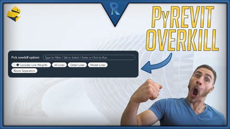 How To Use The Overkill Tool In Pyrevit Revit Youtube