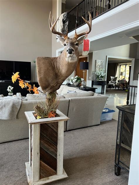 Deer Pedestal Deer Mount Decor Deer Hunting Decor Hunting Cabin Decor