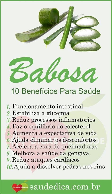 Os 10 Benefícios da Babosa Para Saúde babosa babosabeneficio