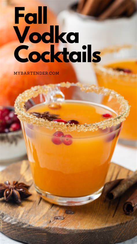 12 Best Fall Vodka Cocktails To Drink In 2023 MyBartender