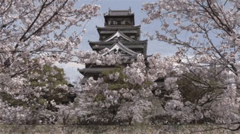 Osaka GIF - Castle Osakacastle Osaka - Discover & Share GIFs