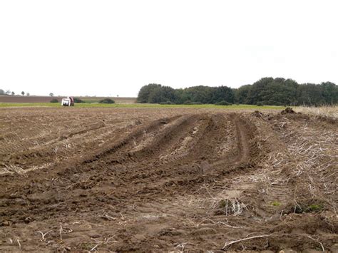 Potato Harvesting Lincoln Wolds AlastairG Geograph Britain And