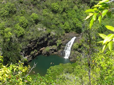 History of the Waimea Valley Botanical Garden - Waimea Valley ...