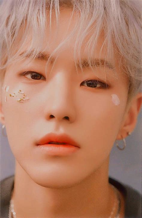 𝙂𝙪𝙞𝙖 𝙥𝙖𝙧𝙖 𝘽𝙖𝙗𝙮𝘾𝙖𝙧𝙖𝙩𝙨 Seventeen album Hoshi seventeen Seventeen