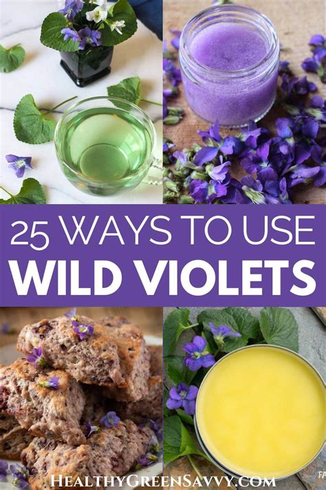 25 Wild Violet Recipes (Tasty & Medicinal Uses for Violets)