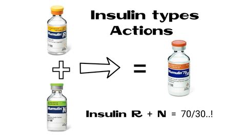 What'S The Difference Between Novolin R And Novolin N? Trust The Answer - Ecurrencythailand.com