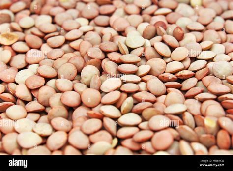 Lentil Pattern Hi Res Stock Photography And Images Alamy