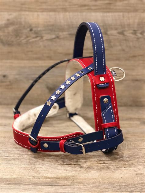 Leather Service Dog Harness Stars And Stripes Edition Full Adjustable