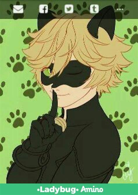 Chat Noir Wiki •miraculous Ladybug Español• Amino